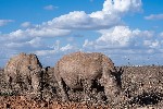 Ol Pejeta