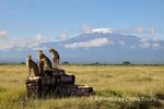 Hotel Keňa – safari pod Kilimandžárem a Indický oceán dovolená