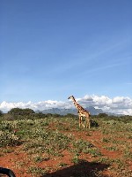 Hotel Keňa - Safari snů a bílé pláže Diani dovolená