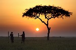 Masai Mara