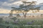 Hotel Magická Keňa – Masai Mara a ostrov Lamu dovolená