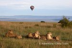 Hotel Magická Keňa – Masai Mara a ostrov Lamu dovolená
