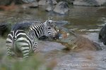 Hotel Magická Keňa – Masai Mara a ostrov Lamu dovolená