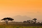 Keňa, Nairobi a okolí, Nairobi - TO NEJLEPŠÍ Z KENI + SAFARI + KOUPÁNÍ V INDICKÉM OCEÁNU (LETECKY Z PRAHY)