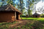 Keňa, Nairobi a okolí, Nairobi - TO NEJLEPŠÍ Z KENI + SAFARI + KOUPÁNÍ V INDICKÉM OCEÁNU (LETECKY Z PRAHY)