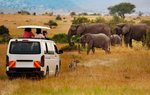 Keňa, Nairobi a okolí, Nairobi - TO NEJLEPŠÍ Z KENI + SAFARI + KOUPÁNÍ V INDICKÉM OCEÁNU (LETECKY Z PRAHY)
