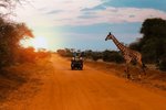 Keňa, Nairobi a okolí, Nairobi - TO NEJLEPŠÍ Z KENI + SAFARI + KOUPÁNÍ V INDICKÉM OCEÁNU (LETECKY Z PRAHY)