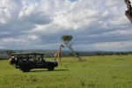 Keňa - Národní Park Masai Mara a pobyt u moře