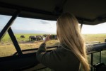 Safari