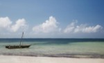 Hotel Neptune Beach Resort and Safari Tsavo Explorer RO