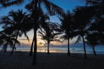 Keňa, Pobřeží, Diani Beach - AMANI TIWI BEACH RESORT