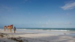 (Keňa, Pobřeží, Diani Beach) - NEPTUNE VILLAGE BEACH RESORT