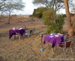 Hotel Swahili Beach Resort and Safari Tsavo Explorer RO 