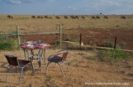 Hotel Swahili Beach Resort and Safari Tsavo Explorer RO 