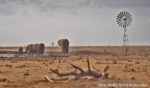 Hotel Swahili Beach Resort and Safari Tsavo Explorer RO 
