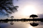 Hotel Swahili Beach Resort and Safari Tsavo Explorer RO 