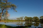 Hotel Swahili Beach Resort and Safari Tsavo Explorer RO 