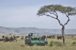 Keňa, Pobřeží, Malindi - Národní parky Amboseli a Tsavo West + pobyt u moře