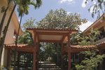 Hotel LAS YAGRUMAS dovolená