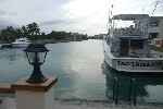 Kuba, Havana, Havana - Big Game Fishing (HAVANA) - MARINA HEMINGWAY-ACUARIO