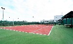 Tenis 