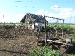 Historická studna a ranč v oblasti Camagueey