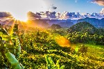 Vinales