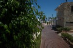 (Kypr, Jižní Kypr, Protaras) - MARLITA BEACH HOTEL APARTMENTS