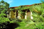 Kypr, Severní Kypr, Kyrenia (Severní Kypr) - RIVIERA BUNGALOWS