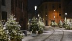 Vánoční stromky v Kaunasu