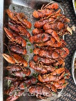 Hotel Madagaskar – ostrov lemurů dovolená