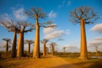 Madagaskar - Za krásami Madagaskaru
