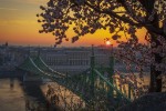 Hotel Budapešť a její blízké okolí v době květu sakur dovolená
