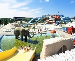 aquapark-minicsuszdak_20110822161046_51.jpg