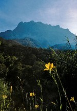 Malajsie, Borneo, Sabah - Krásy Bornea