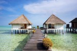 Hotel GANGEHI ISLAND RESORT dovolená