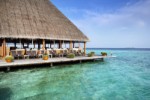 Restaurace