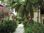 Maledivy, Ari Atol, Ari - RANVELI VILLAGE