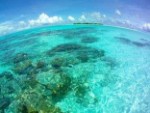 Maledivy, Ari Atol, Ari - VELIDHU ISLAND