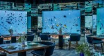 Restaurace