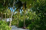Hotel Kandima Maldives dovolenka