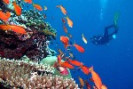 Hotel Kandima Maldives dovolenka