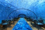 Restaurace