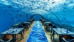 Restaurace 