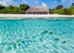 Hotel Palm Beach Resort & Spa Maldives dovolená