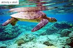 Maledivy, Kaafu atol, Kaafu - THULHAGIRI ISLAND RESORT & SPA