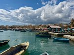 IMG_8874