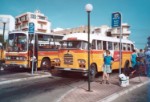 Malta - bus