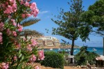 (Malta, Ostrov Malta, St. Julians) - BEACH GARDEN
