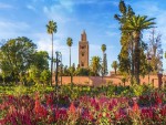 Hotel Circuit Maroc - Farmecul African (de la Casablanca la Marrakesh)